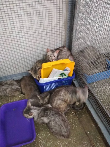 8E53B492-A9B6-4890-89D9-BB73A7AD273A