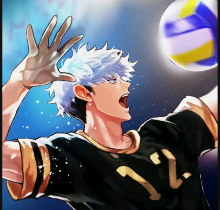 THE SPIK VOLLEYBALL
