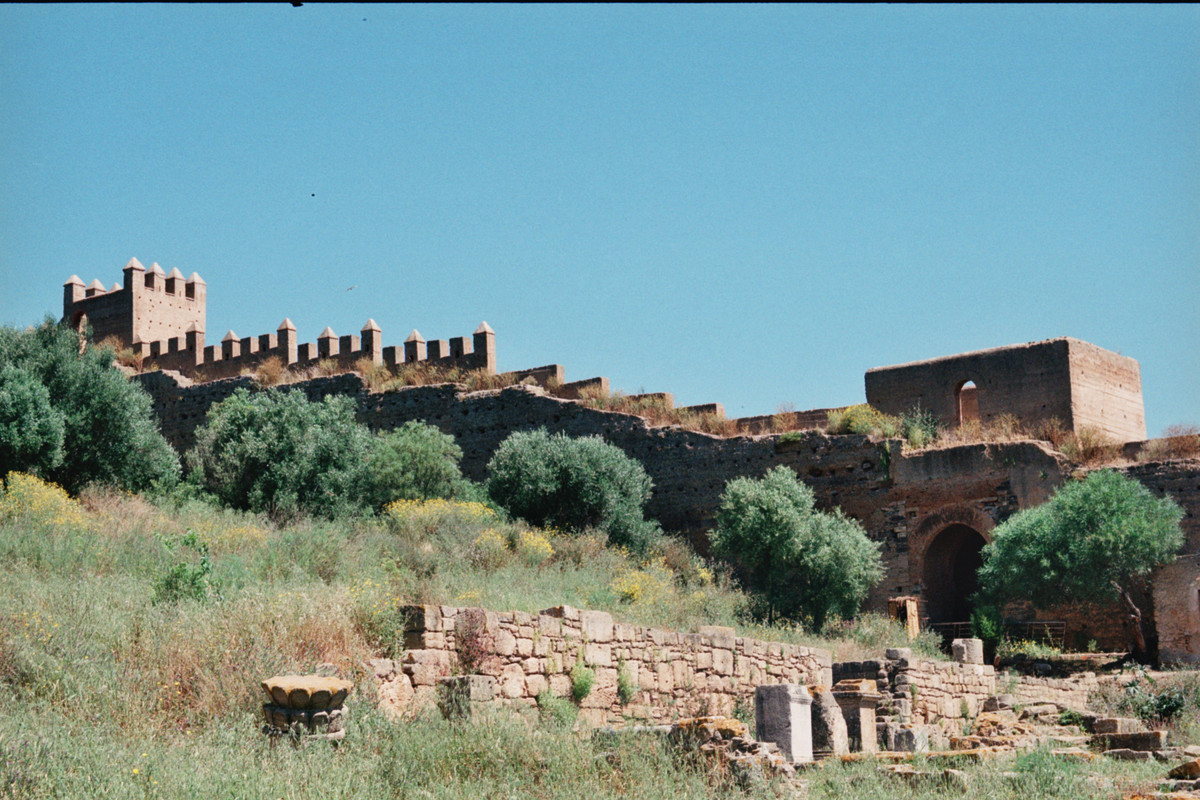 Chellah Necrópilis (4)