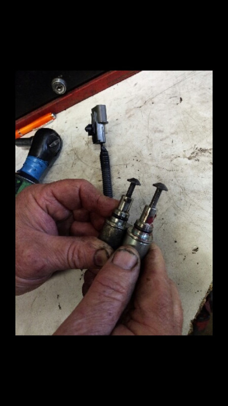 IMG_3032001 (Medium)