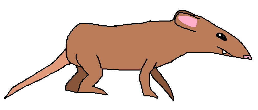 Хищная мышь