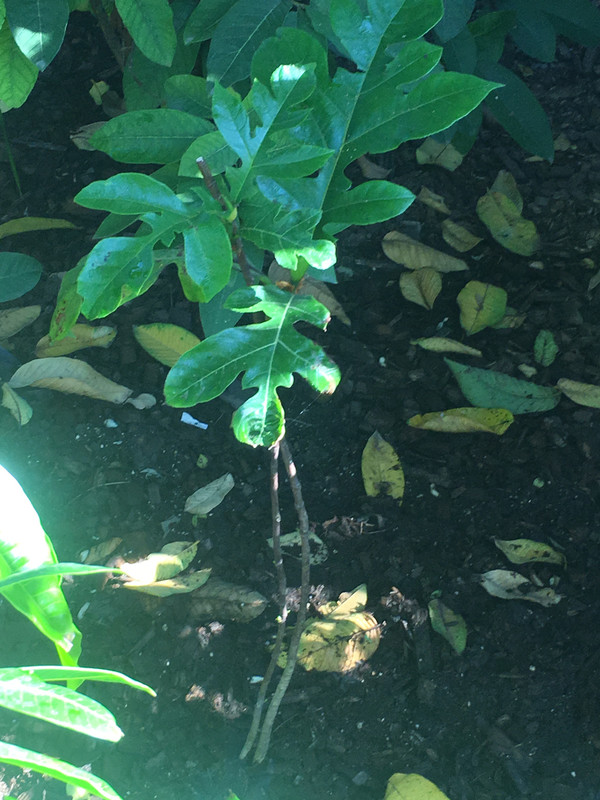 12D4F25B-7F9F-4343-92A3-50A63D13449D