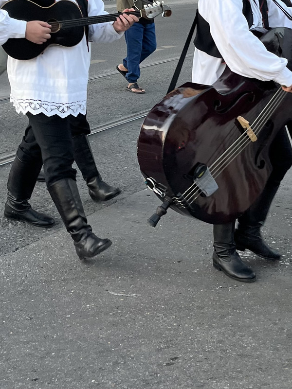 IMG 7447