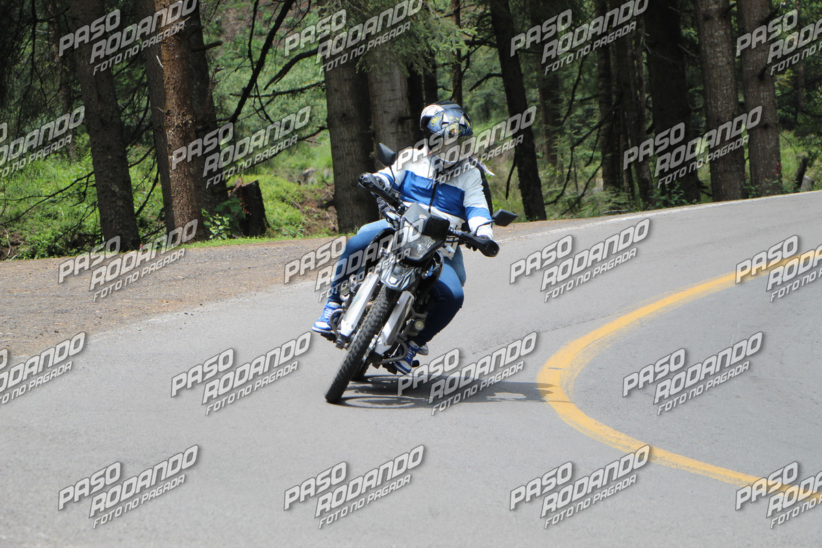 IMG 4436 wm 4957478 3 watermarked — Postimages