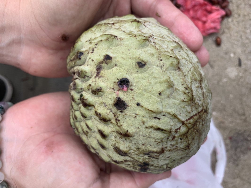 B6816545-C884-48C2-B4FA-64FA5B56410C