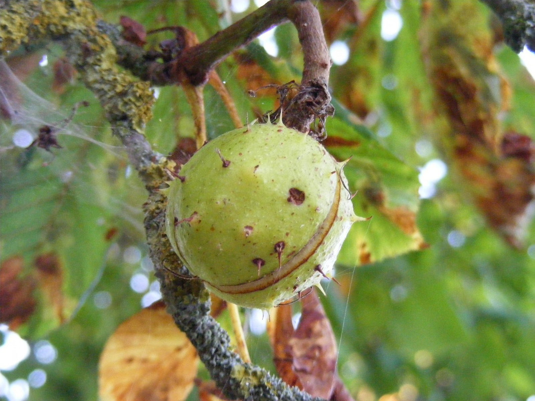 DSCF2102.jpg