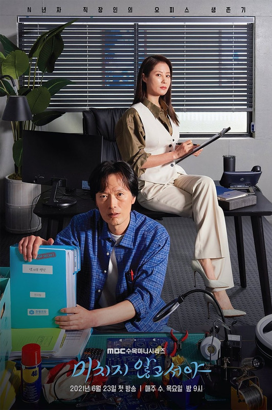 poster On the Verge of Insanity