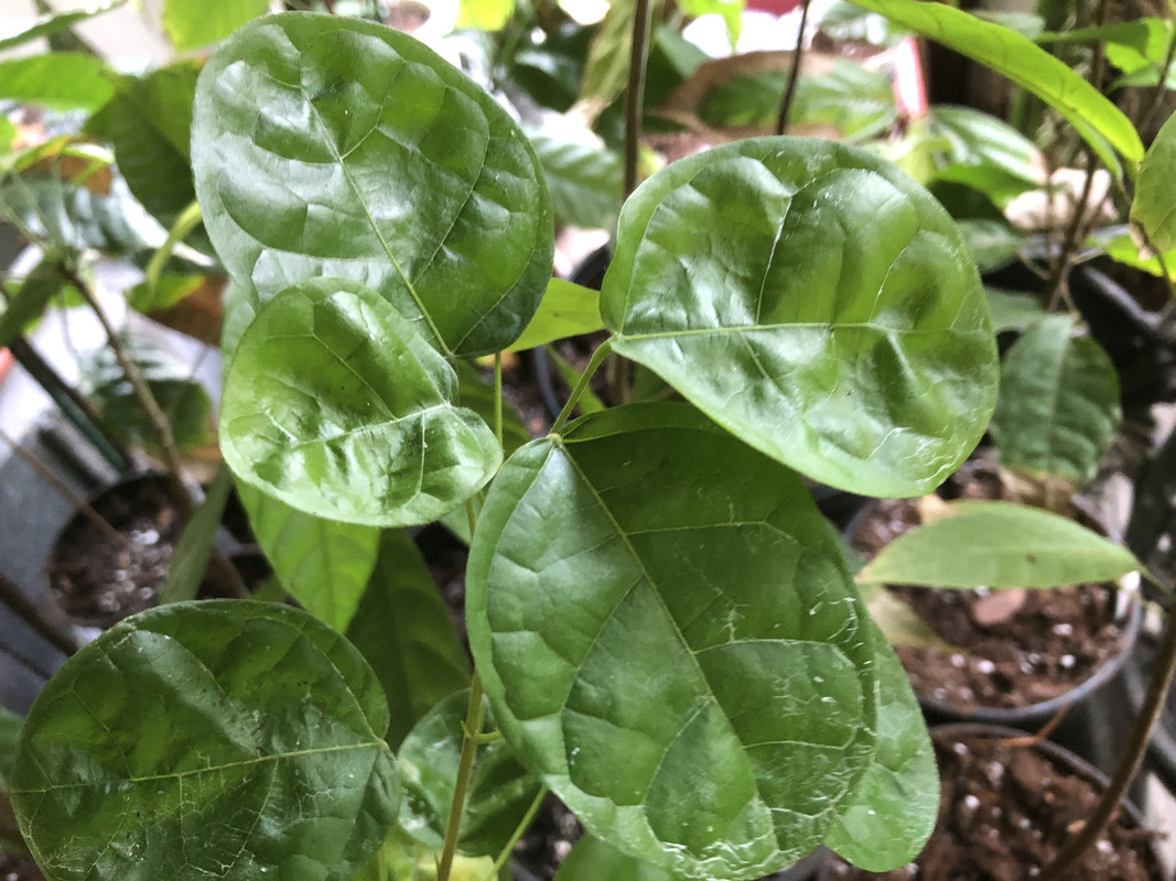 6EFCE32E-2A93-4246-91F7-78FEA5373C9B