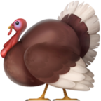https://i.postimg.cc/NFLJJVZF/91bfc1b2d5eb9a28bdc4fe490bbb2f.png