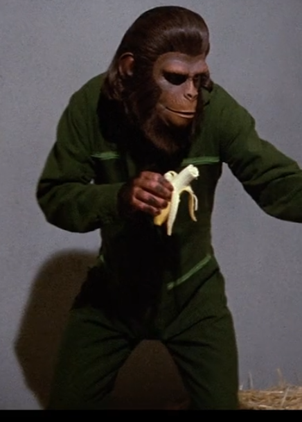 Screen Shot 2020-05-23 at 10.22.30 PM