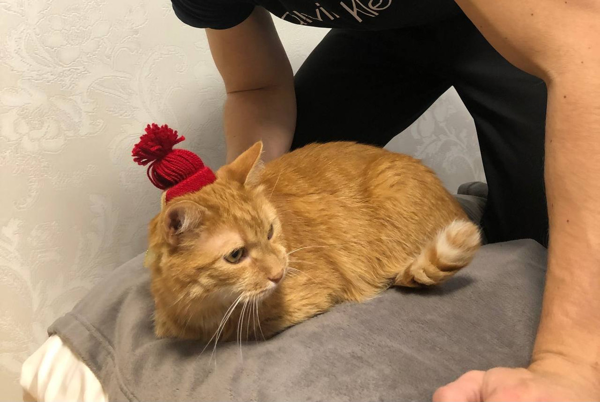 15C94EDE-B745-4C2A-A568-C62DBB263C63