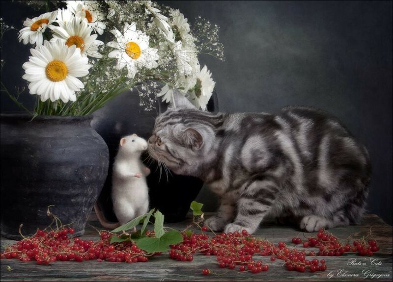 11753655-588292524607548-243129292570056628-n