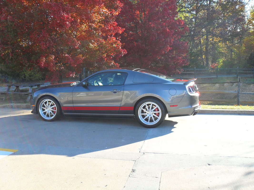 X-S/F Fall pic run - 2 075