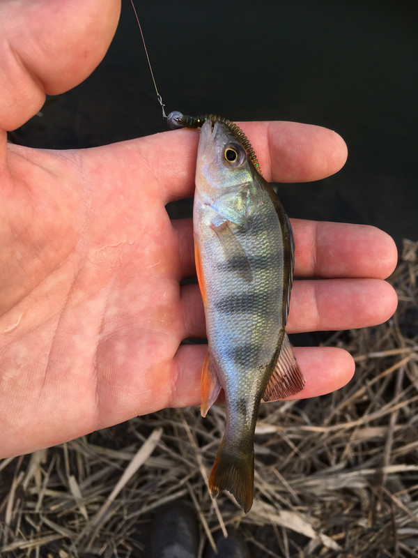 D82EC92F-3BA2-437E-AC85-B3231C584927