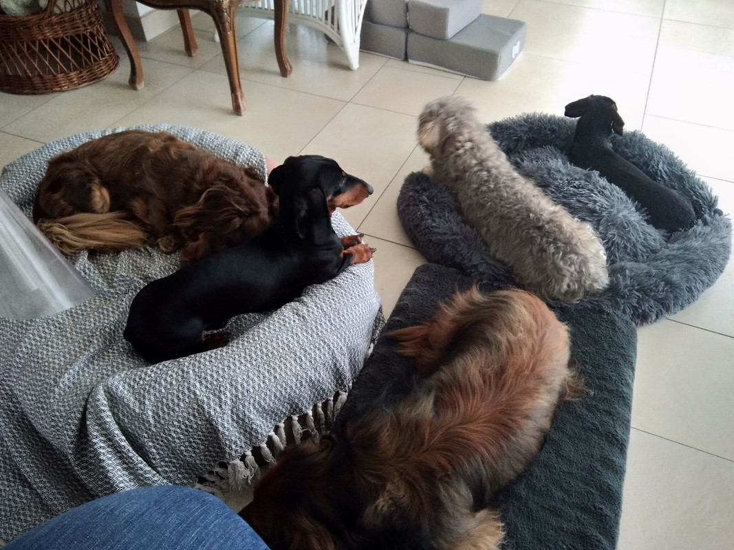 [Image: IMG-20201105-144353.jpg]