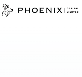 Phoenixcaplimited screenshot