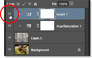 invert-visibility-icon