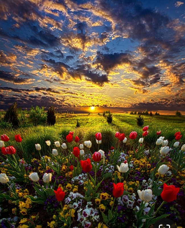 Screenshot_20240305_224042_Pinterest