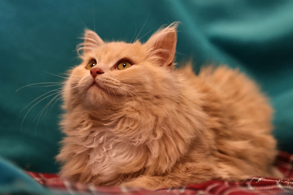 4E6E2D64-BC19-44D5-8C07-12721C16B0D9