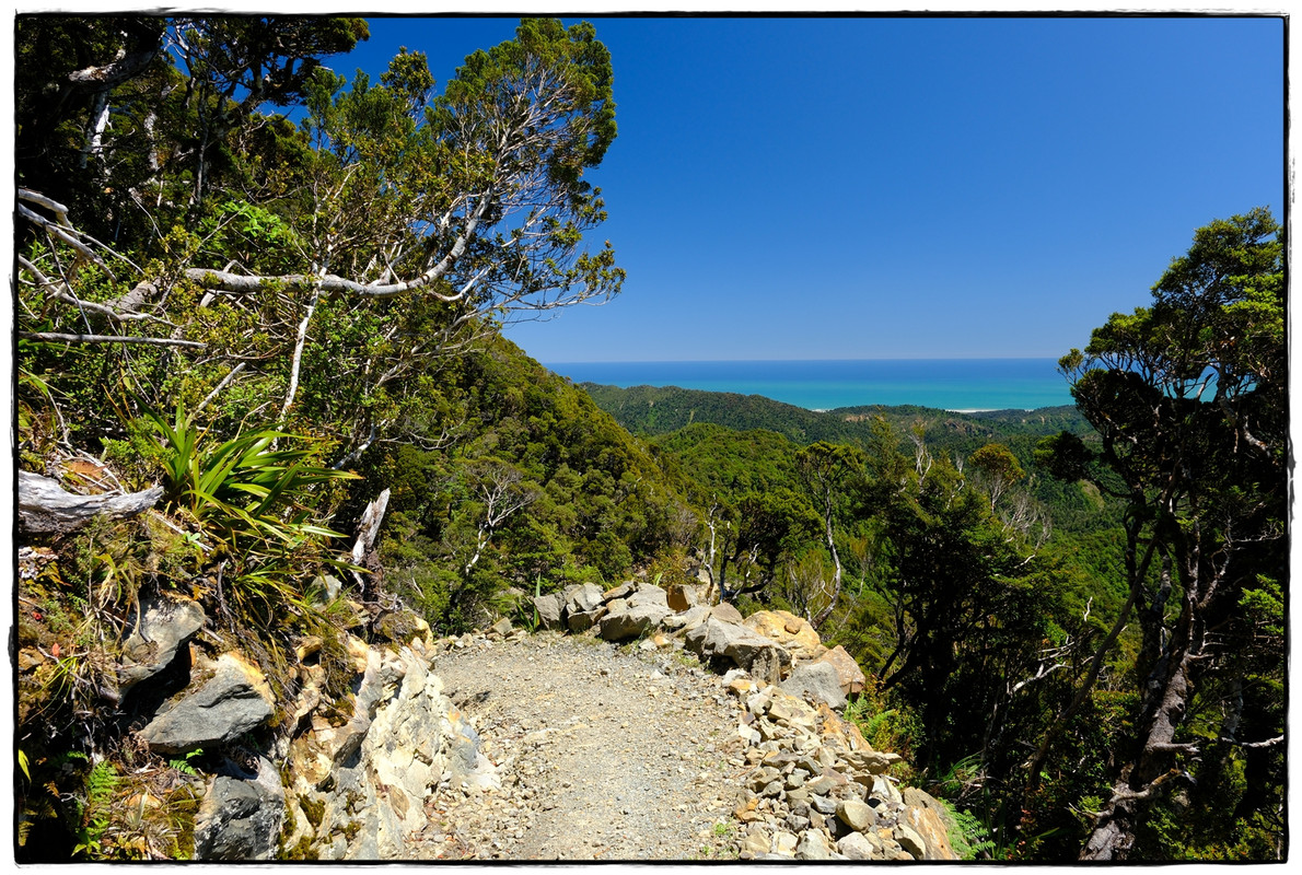 Paparoa NP: Paparoa Track (diciembre 2024) - Escapadas y rutas por la Nueva Zelanda menos conocida (38)