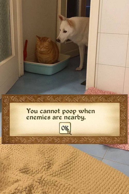 18th.jpg