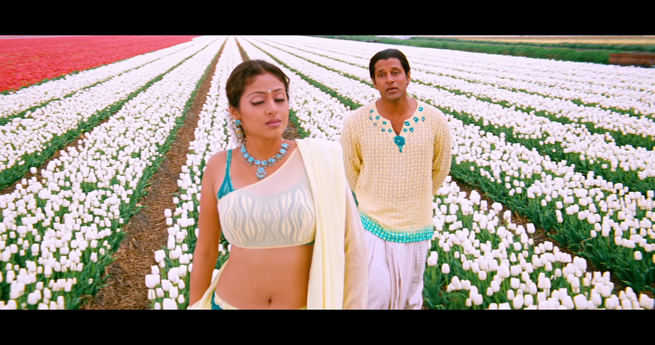 VideoCapture_20241122-195552