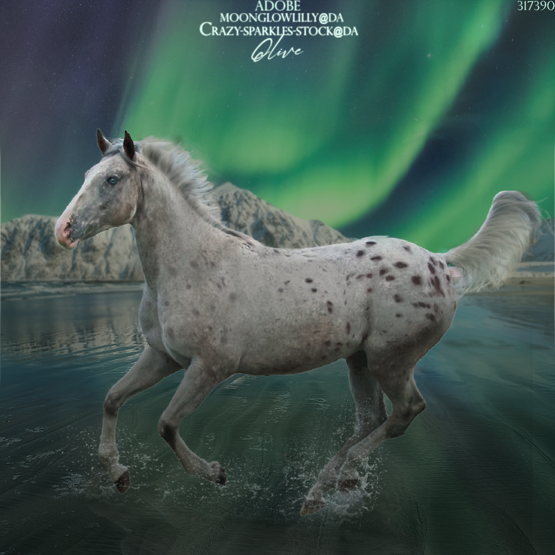 borealis.png
