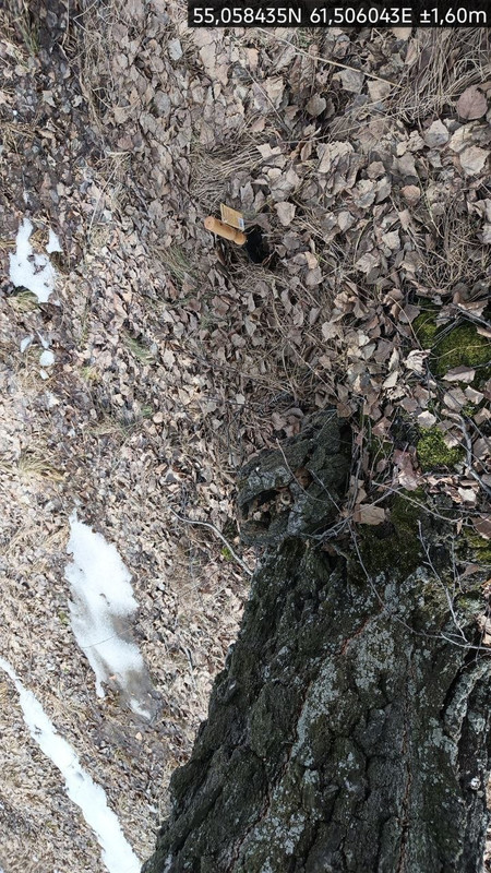 photo 2026 04 09 14 52 36