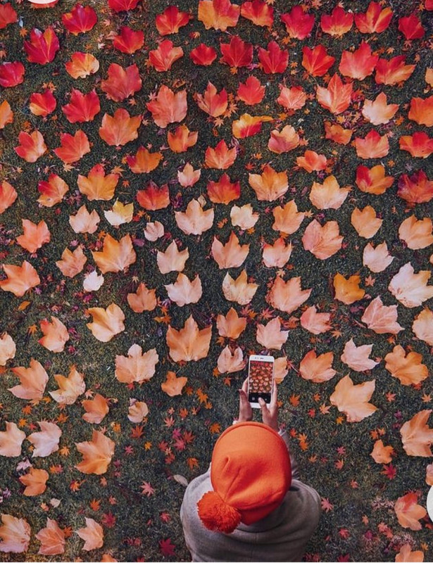 Screenshot_20230123_233907_Chrome