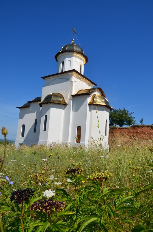 Rumanía y sus pueblos-2015 - Blogs de Rumania - Sinaia-4-8-2015 (1)