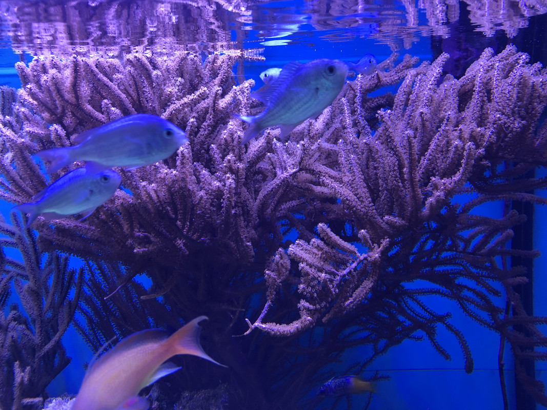 69F2E414-4F6E-476F-AC47-D72DAD11E737