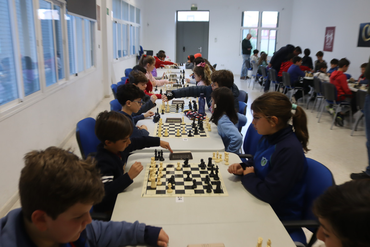 IMG-4629