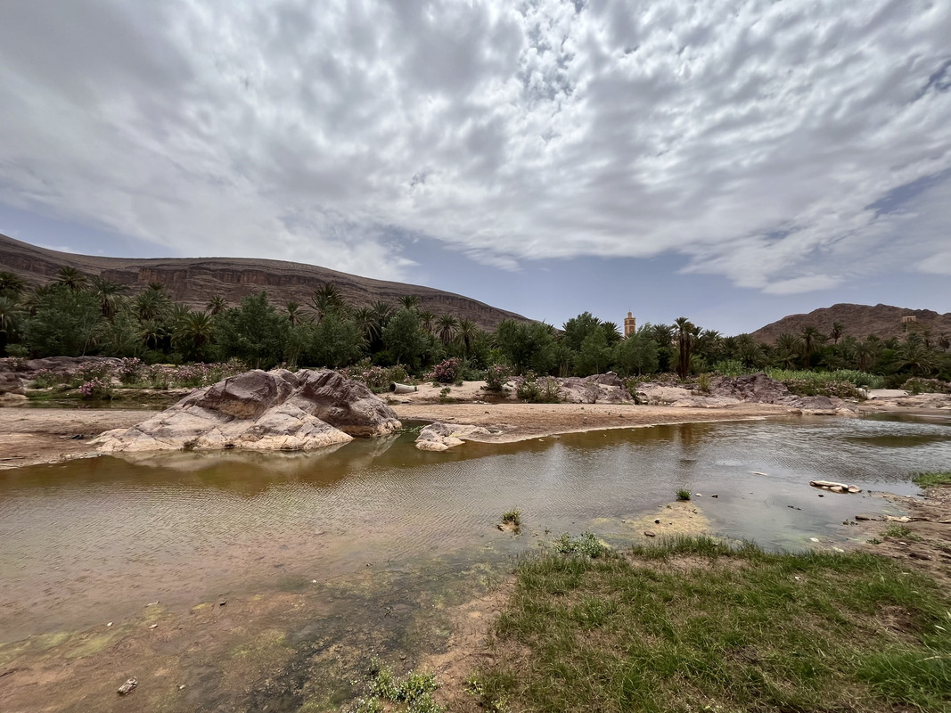 Los Oasis de Fint y de Tiguirt - El Valle del Drâa, la gran arteria del sur de Marruecos (3)
