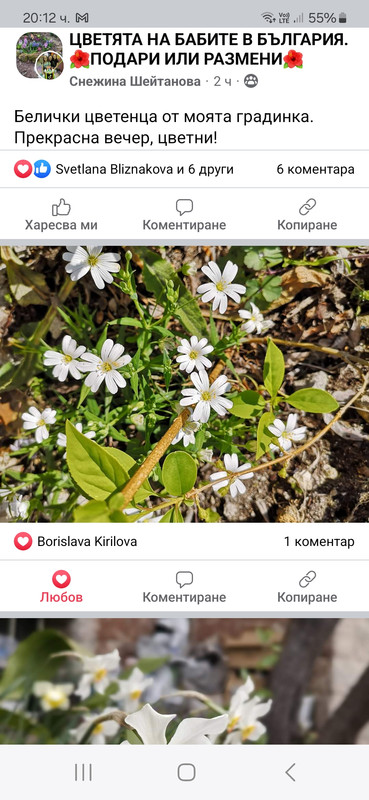 Screenshot_20240326_201251_Facebook