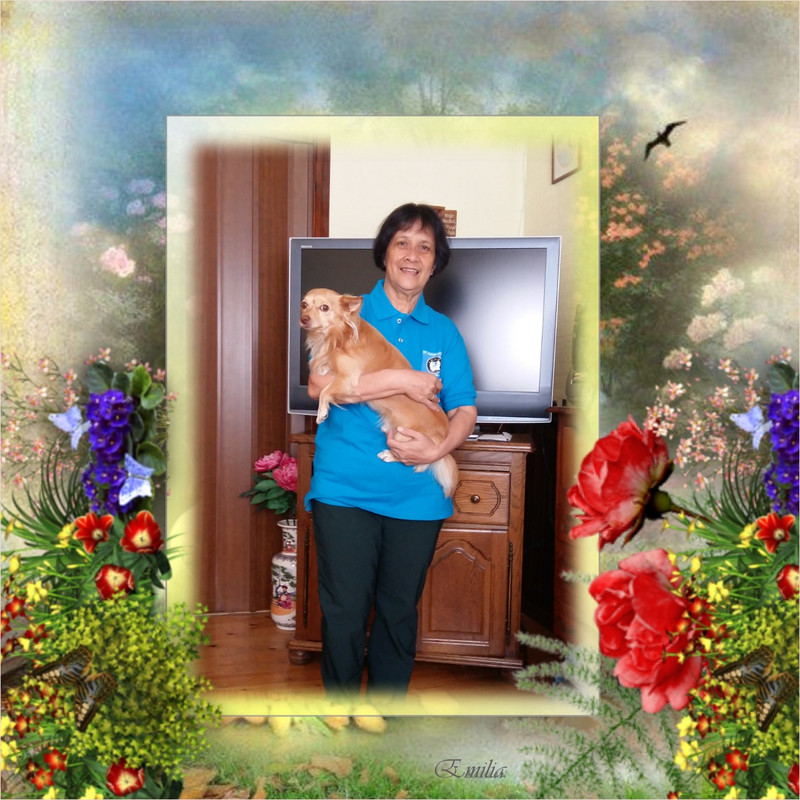 Image and video hosting by TinyPic