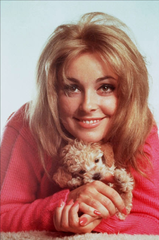 sharon_tate_md02
