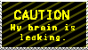 brain