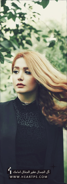 ���� ���� ������ �� ���� ������