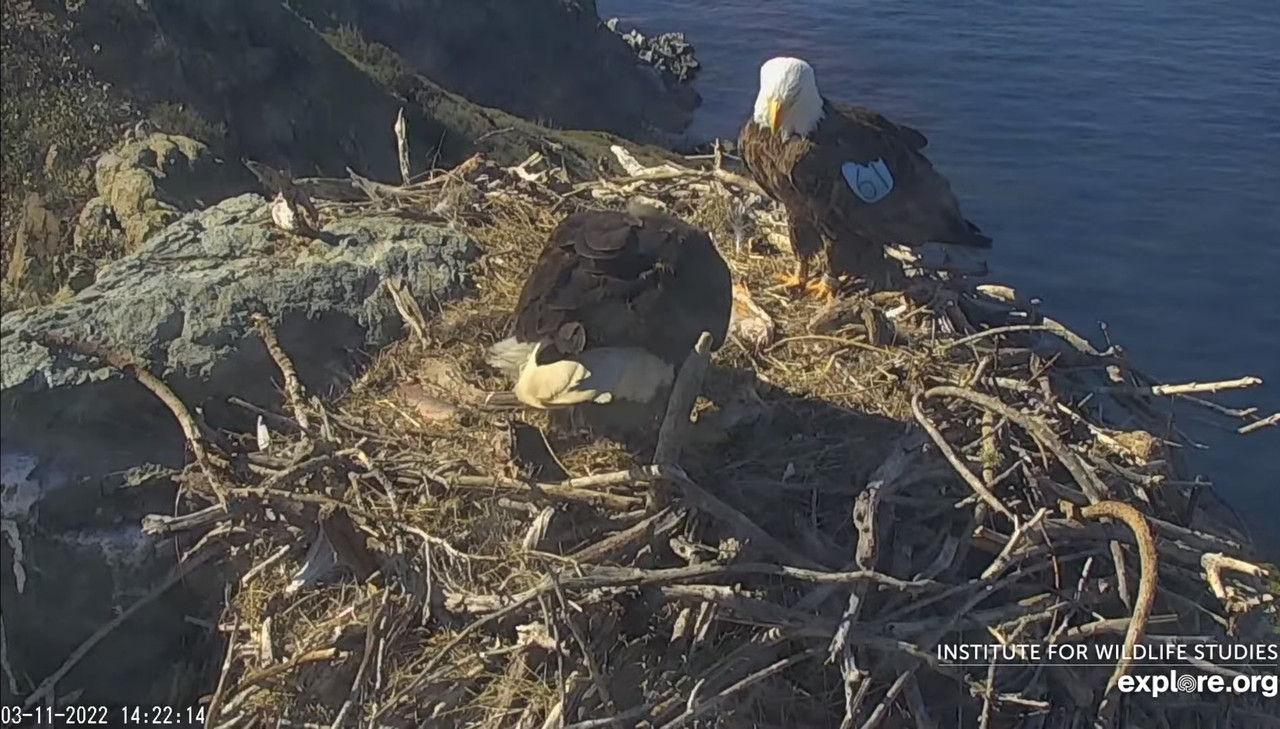 69A24004-0268-4CB6-97A6-69FBF7B041E3