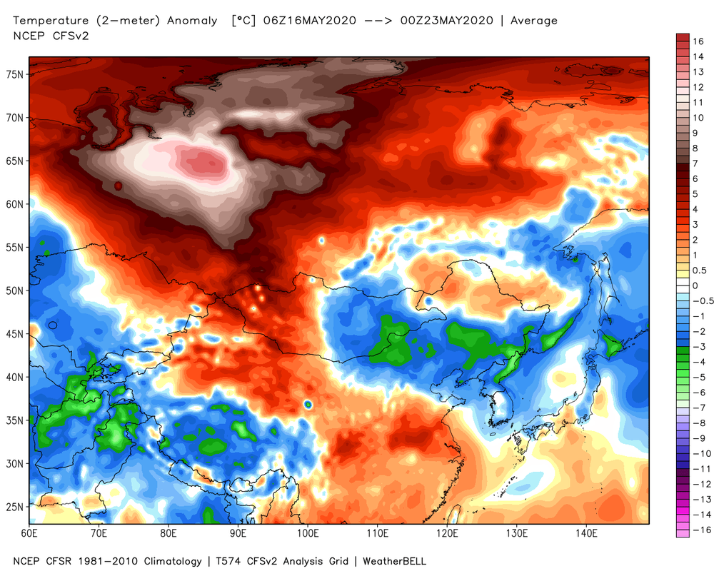 ncep-cfsr-asia-t2m-week-anom.png