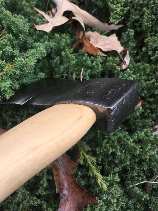 3A43DE26-50E9-4498-B453-7CACB950AC6C