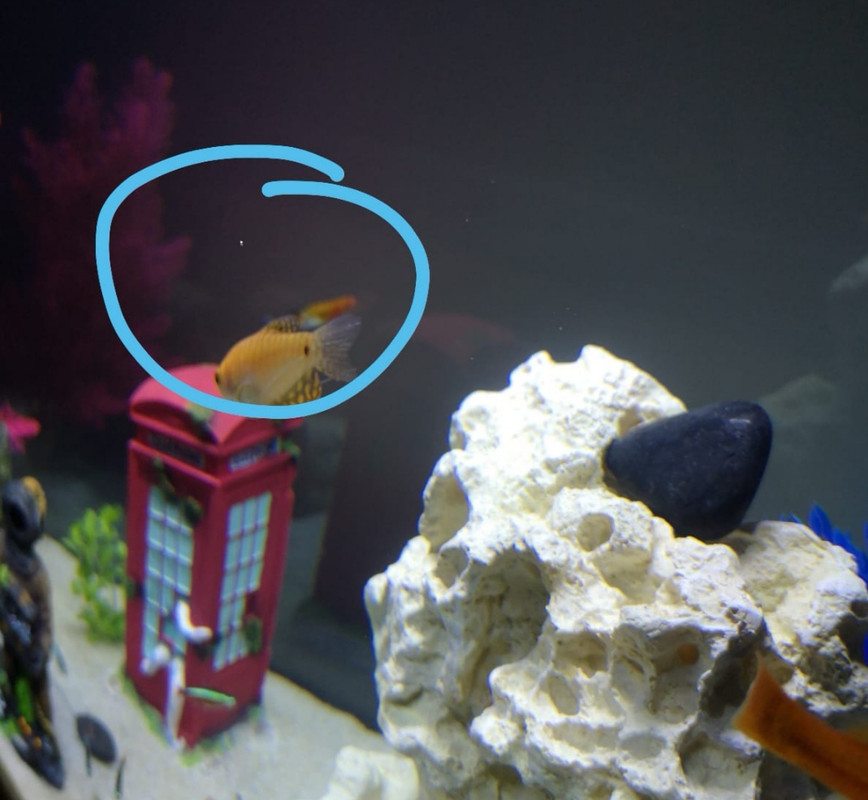 Screenshot_20220227_200847