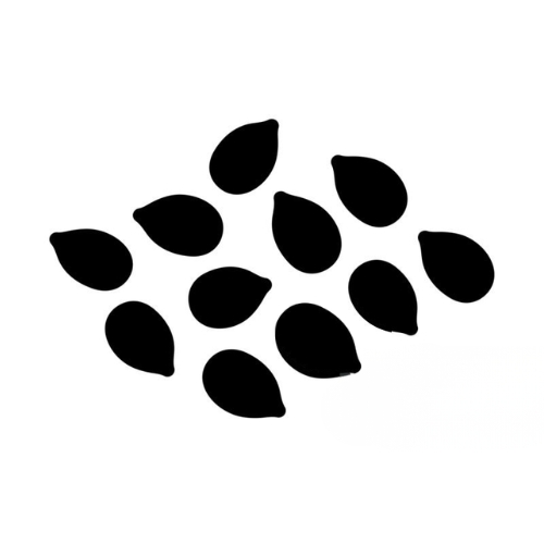SESAME SEED EXTRACT