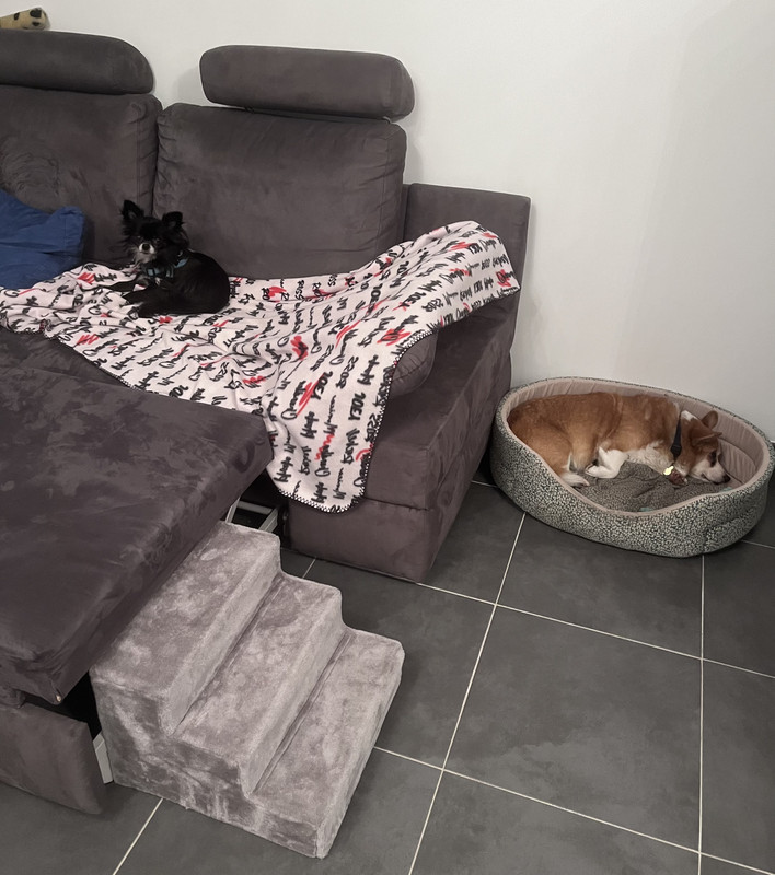 [Image: 514-E98-E2-3944-490-C-9-C3-C-D16-F3-C285558.jpg]