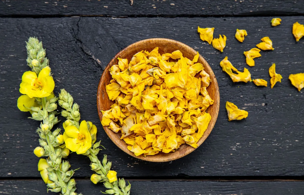 ¿Qué es bueno para la tos? Así se prepara el té de gordolobo