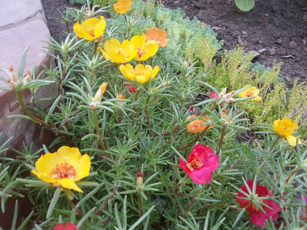 20180630_073807