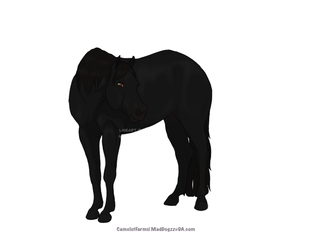 CCB6-EE80-BBDC-4-F06-96-BA-465-D16-D8-B36-C.png
