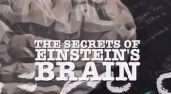  Secrets.of.Einsteins.Brain