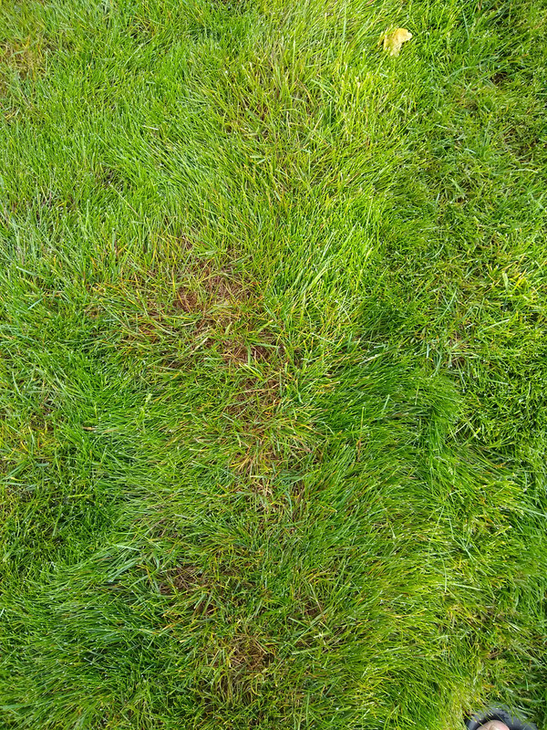 IMG_20210601_082423196