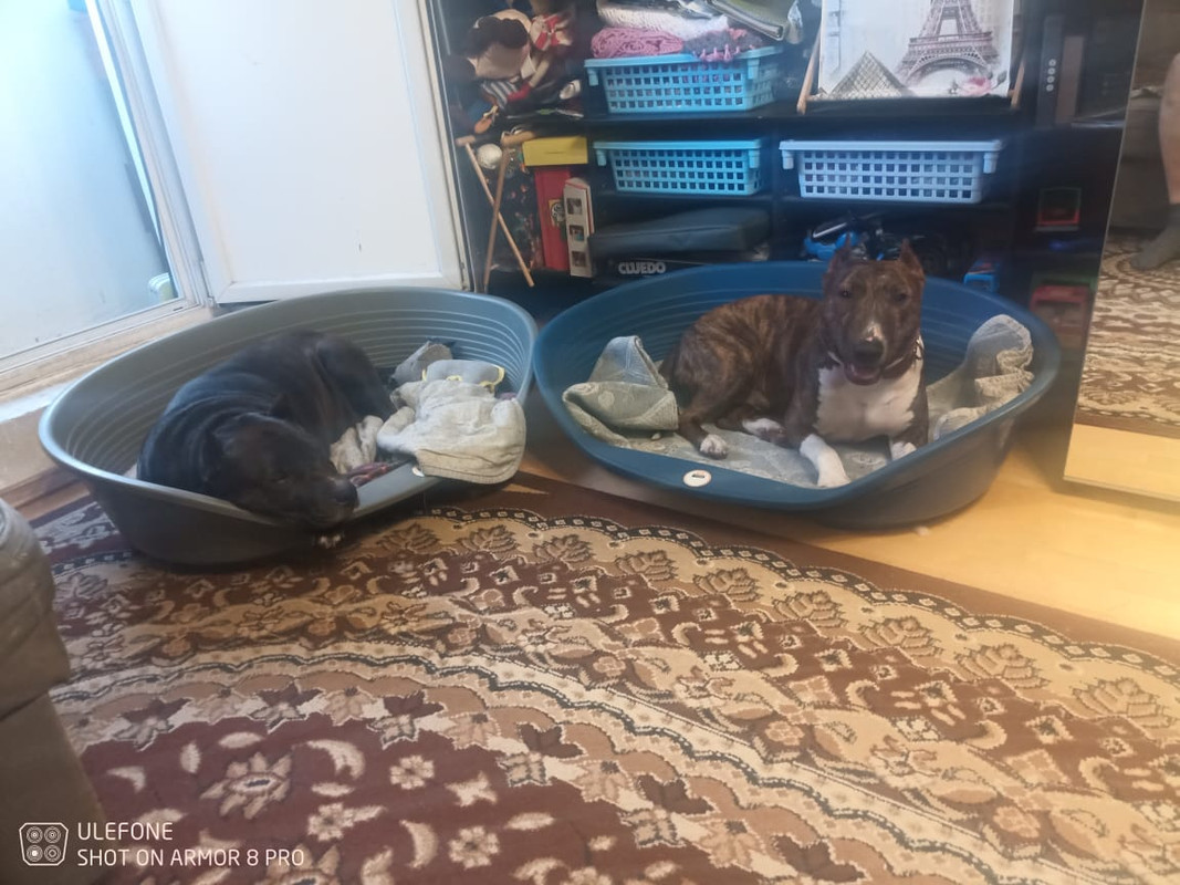 3D94DA33-4976-4BAD-B5A5-0E89DA6BD821